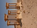 Ancient columns, Palmyra Royalty Free Stock Photo