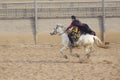 Horsemanship performance