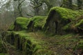 Ancient cottages covered in moss in a gnome village Royalty Free Stock Photo