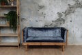 Ancient Couch, Domestic Plant and Books on Shelves