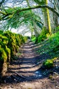 Ancient country path with moss covered dry stone walls Cumbria UK