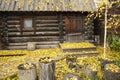 An ancient country sauna made of wood, autumn landscape