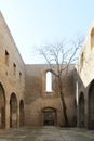 Ancient courtyard with a dead tree