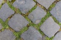 Ancient dark granite stone floor tile as background in Rome, Italy