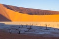 Ancient dead petrified trees in Deadvlei, Namibia, in front of red and orange sand dunes and deep shade Royalty Free Stock Photo