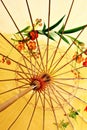 Ancient decorative umbrella