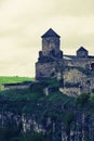 Defensive towers on the cliff