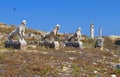 Ancient Delos island in Greece Royalty Free Stock Photo
