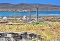 Ancient Delos Ruins, Greece