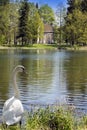 Ancient destroyed arbor in park and the swan in a grass ashore and looks at the lake