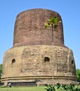 Ancient Dhamekh Stupa in Sarnath,India