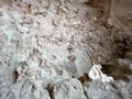 Ancient Dinosaur bones embedded in rock in an exhibit at Dinosaur National Monument near Vernal, UT