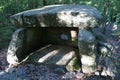 Ancient dolmen in the depths of the forest in the valley of the Pshada River in the Caucasus