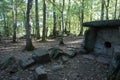 Ancient dolmen in the depths of the forest in the valley of the Pshada River in the Caucasus