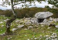 Ancient dolmen in Lekunberri, Spain Royalty Free Stock Photo