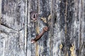 Ancient Door Detail Wooden Surface Pattern Royalty Free Stock Photo