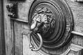 An ancient door handle with metal lion head in Tbilisi, Georgia Royalty Free Stock Photo