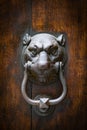 Ancient door knocker in the shape of a panther head Royalty Free Stock Photo