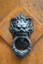 Ancient door knocker on a wooden door in Florence Royalty Free Stock Photo