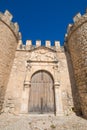 Ancient door of wall in Penaranda de Duero village