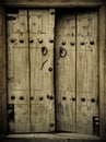 Ancient doors Royalty Free Stock Photo