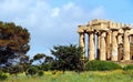 Ancient doric greek temple in Selinunte