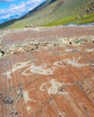 The ancient drawings on rocks Altai