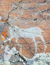 The ancient drawings on rocks Altai