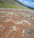 The ancient drawings on rocks Altai
