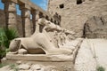 Ancient egypt statues of sphinx in Luxor karnak temple Royalty Free Stock Photo