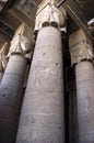 Ancient Egypt Stone Columns Temple Architecture Royalty Free Stock Photo