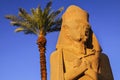 Ancient Egyptain Statue and Palm Tree Karnak Temple Luxor Egypt Royalty Free Stock Photo