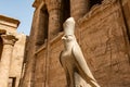 Ancient egyptian architecture ruins. hieroglyphs and columns of the Temple of Horus at Edfu, in Egypt