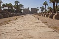 Avenue of sphinxes at entrance to ancient egyptian temple of Luxor