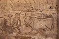 ancient egyptian carvings on the walls of Ramsess iii temple in luxor Royalty Free Stock Photo