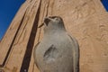 An Ancient Egyptian God Horus Statue as the View of Falcon Bird in the Temple of Edfu Royalty Free Stock Photo