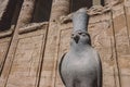 An Ancient Egyptian God Horus Statue as the View of Falcon Bird in the Temple of Edfu Royalty Free Stock Photo