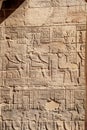 Ancient egyptian gods hieroglyphs at Philae Temple in Aswan Royalty Free Stock Photo