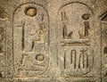 Ancient egyptian hieroglyph carved in stone