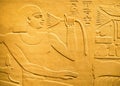 Ancient egyptian hieroglyph depicting a human figure