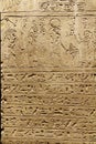 Ancient Egyptian Hieroglyphic Cuneiform writing