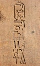 Ancient Egyptian hieroglyphics Carving