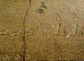 Ancient Egyptian hieroglyphics Louvre museum collection Royalty Free Stock Photo