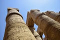 Ancient Egyptian hieroglyphs and symbols carved on columns of the complex of Karnak temple. Royalty Free Stock Photo