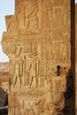 Ancient egyptian hieroglyphs in the Temple of Kom Ombo, Egypt