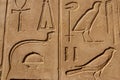 Ancient egyptian hieroglyphs on the wall in Karnak Temple Complex in Luxor, Egypt Royalty Free Stock Photo