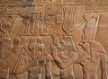 Ancient egyptian hyeroglyphs inside the temple of Kom Ombo. Egypt Royalty Free Stock Photo