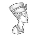 Ancient Egyptian Nefertiti Pharaoh sketch vector Royalty Free Stock Photo