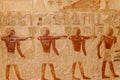 Ancient egyptian paintings and hieroglyphs carved on the stone wall