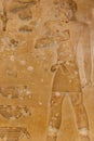 Ancient egyptian paintings and hieroglyphs carved on the stone wall